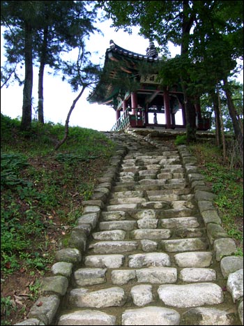 돌계단을 딛고 반구정에 올라서면 임진강이 밑에서 흐르지요. 